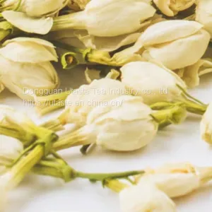 Jasmine Tea thumbnail-3