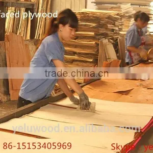 Best Price for Plywood Sheet / Best Quality Plywood thumbnail-3