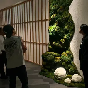 OEM Sizes of Eternal Environmental Friendly Natural Live Luxury Moss Wall or Floor for Office, Home and Public Sites Decoration thumbnail-5
