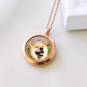 Durable Zinc Alloy Pet Memorial Pendant Necklace With Secure Lobster Clasp thumbnail-2