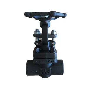 ANSI API 150 1600LB Forged Steel Carbon Steel Stainless Steel Welded Socket High /High Pressure Power Station Globe Valve thumbnail-4