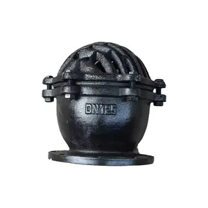 Cast Iron With Strainer Foot Valve for Water Pump Foot Operated Hydraulic Valve Flange Foot Valve With High Quality thumbnail-3