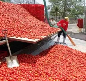 Big Capacity Hot Selling Tomato Sauce Production Line Tomato Sauce Processing Machinery thumbnail-4