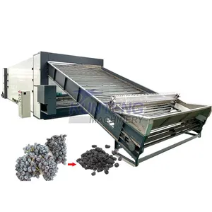 Industrial Food Waste Dryer Sugarcane Bagasse Fruit Pomace Orange Peel Drying Machine EPC thumbnail-1