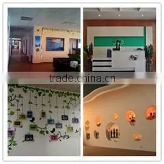 Shenzhen Lycas Electronics Co., Ltd. company overview - view 1 thumbnail