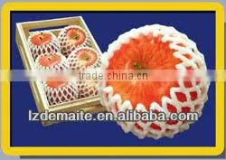 China Fruit Packaging Supplier thumbnail-1