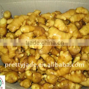 Premium Chinese Yellow Ginger thumbnail-1