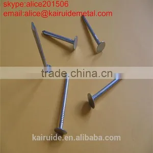 15 Years High Quality All Sizes of Common Nail Wood Nail,common Iron Nail thumbnail-6