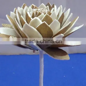 Sola Flower thumbnail-2