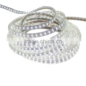 Shanghai MAYWIN 3528 Led Strips 120leds per Meter Smd Strip Lights 3528 for 220v 50% off thumbnail-4