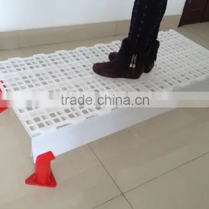 Plastic Flooring for Chicken/duck/rubbit (Professional Manufacturer) thumbnail-4