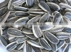 Black Sunflower 25kg Bags thumbnail-1