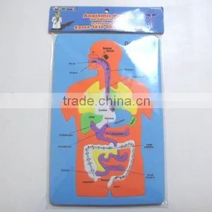 EVA Digestive System Craft thumbnail-1