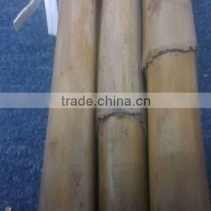 Clean Skin WATER Material Rattan thumbnail-1