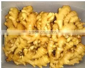 China Fresh Ginger for Sale thumbnail-1