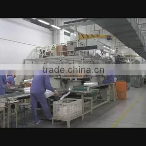 Chiaus (Fujian) Industrial Development Co., Ltd. company overview - view 1 thumbnail