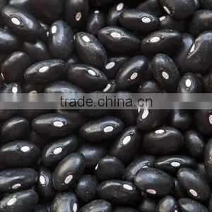 Black Beans thumbnail-1