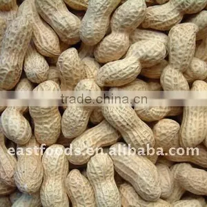 Roasted Peanut thumbnail-1