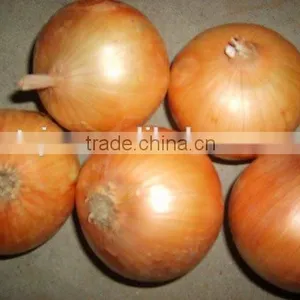 New and Bulk Crop Onion thumbnail-5