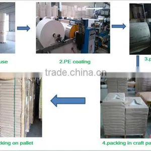 190~200 One Side Virgin Pulp pe Coated Paper Bleach Board/paper Sheet thumbnail-4