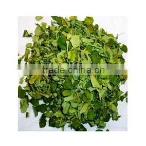 Moringa Leaves Suppliers thumbnail-1