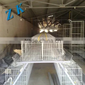 Galvanized Steel for Chicken Cages thumbnail-5