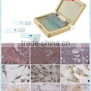 Medical Parasitological Prepard Slides Amoeba Section Set thumbnail-1