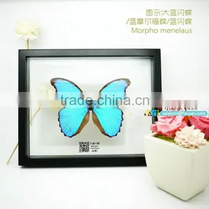 FOUSEN(040) Nature& Art Natual Home Decoration Supplier Glass Deco thumbnail-1