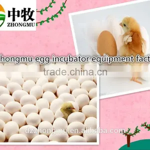 Automatic Microcontroller 88 Small Mini Incubator/mini Egg Incubator for Sale/ZM-88 thumbnail-4