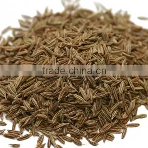 Cumin Seed European Quality Spices thumbnail-1