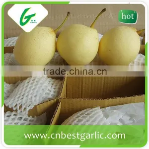 HACCP Passed. Chinese Bulk Export Fresh ya Pear thumbnail-3