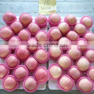 Fuji Apple (various Size) thumbnail-1