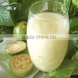White Guava Pulp thumbnail-1