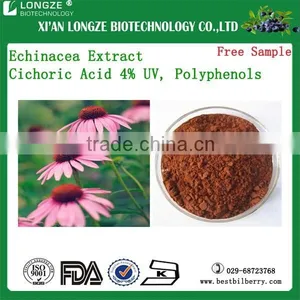 Echinacea Purpurea Extract Echinacea Purpurea Extract in Bulk thumbnail-1