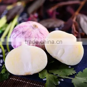 Wholesale Fresh White Garlic for Export thumbnail-5