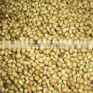 Superior Quality Indian Herbs and Spices thumbnail-6