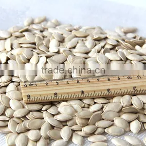 Chinese Inner Mongolia New Shine Skin Pumpkin Seeds thumbnail-1