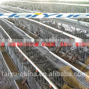 Battery Cage Quail thumbnail-1