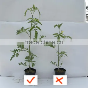A Great Fertilizer TE Trace Element Fertilizer thumbnail-5