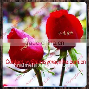 Multifunction DIY Digital Flower Printer(CE,FCC) thumbnail-1