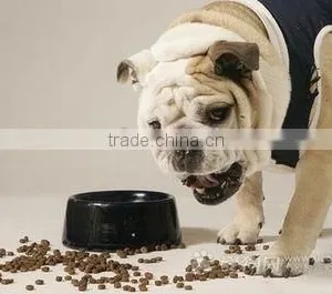 The Newest Discount Dog Cat Pet Food Manufacturing Machine thumbnail-5