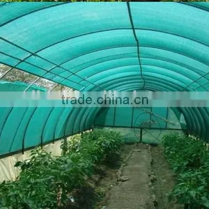 Tunnel Greenhouses With Supporting Systems thumbnail-5