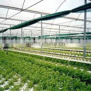 Hydroponics Growing Systems thumbnail-1