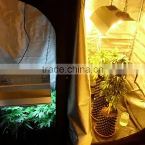 Mini Greenhouse Indoor Hydroponic Grow Systems Complete Grow Tent 240x240x200 thumbnail-1