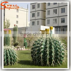 Latest Design Home Decoration Craft Artificial Cactus Plants Make Decoration Plastic Cactus and Plants thumbnail-2