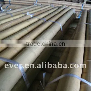 Bamboo Pole thumbnail-1