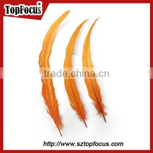 Dyed Color Big Long Natural Grizzly Rooster Feathers for Sale thumbnail-4