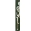 Skeleton thumbnail-1