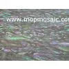 Paua Shell Paper,shell Wall Paper thumbnail-1