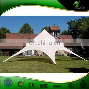 Wholesale Exhibition Outdoor Star Canopy Tent /Trade Show Tent for Promotion thumbnail-4